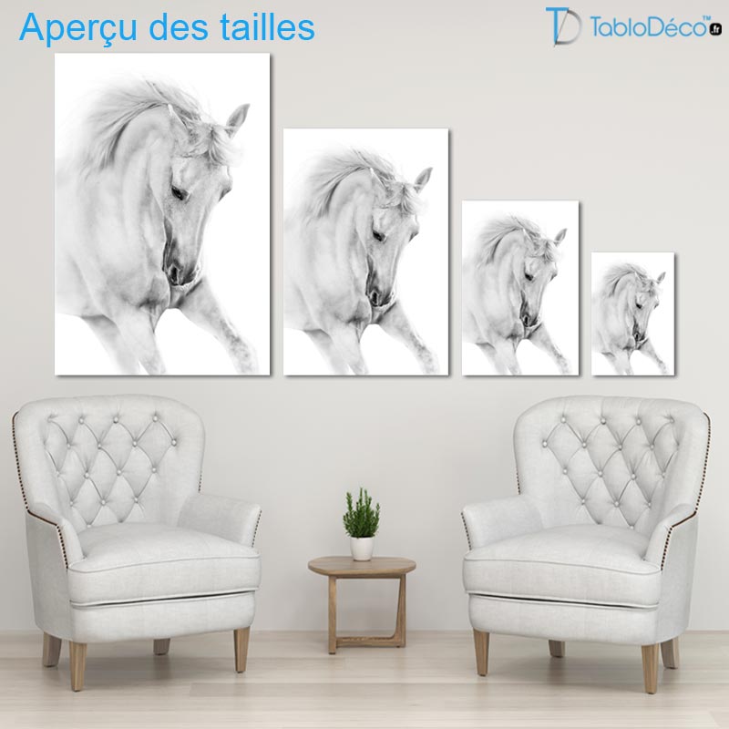 Tableau Cheval Blanc Élégant
