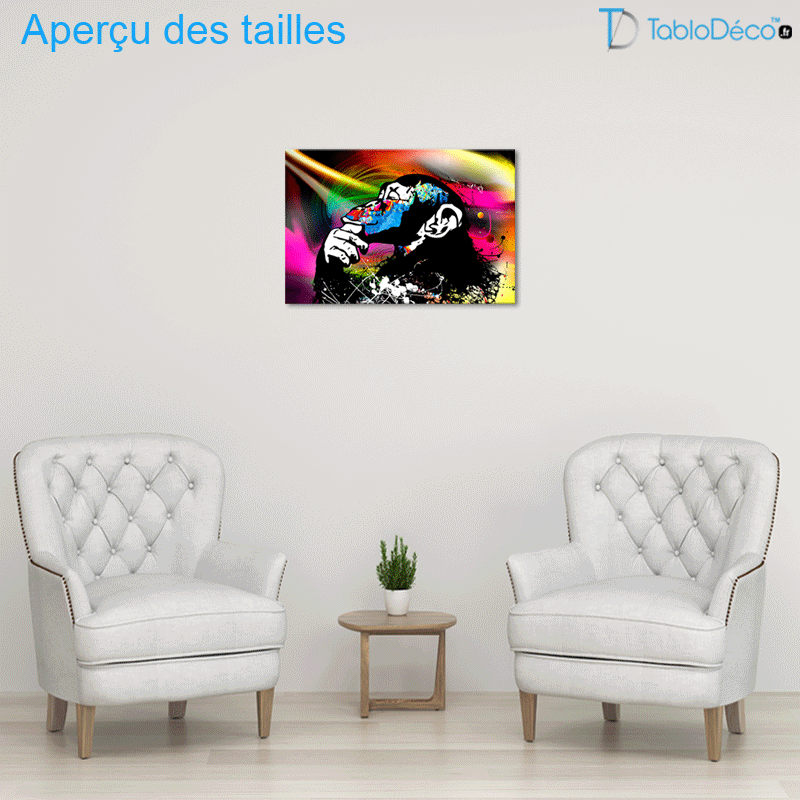 Aperçu des tailles Tableau Couleur Vive Singe