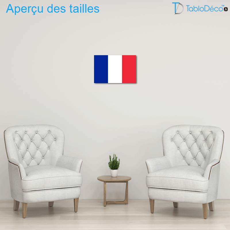 Tableau Drapeau Français
