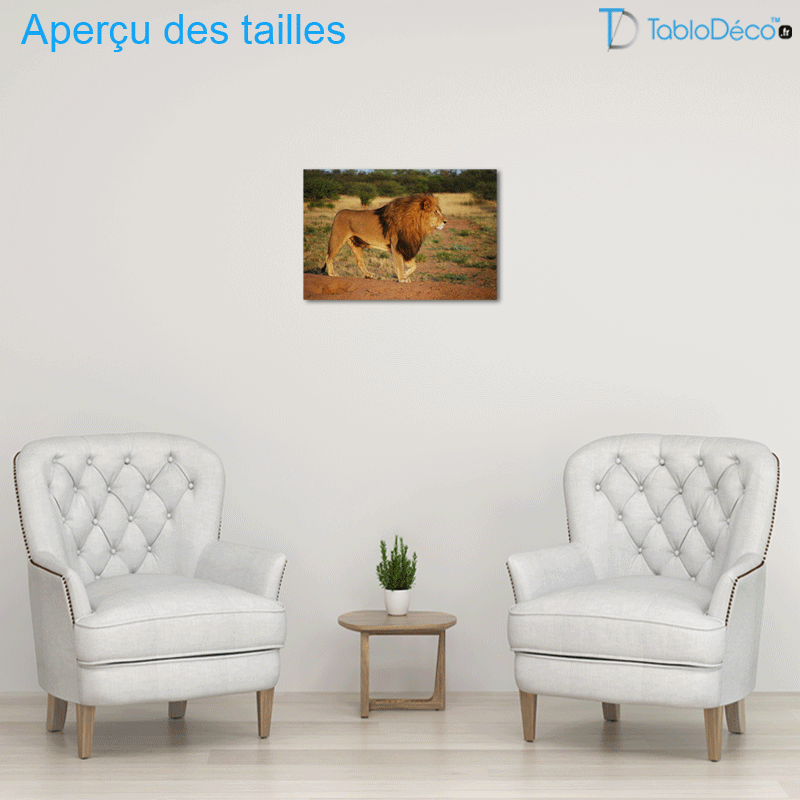Tableau Lion Savane