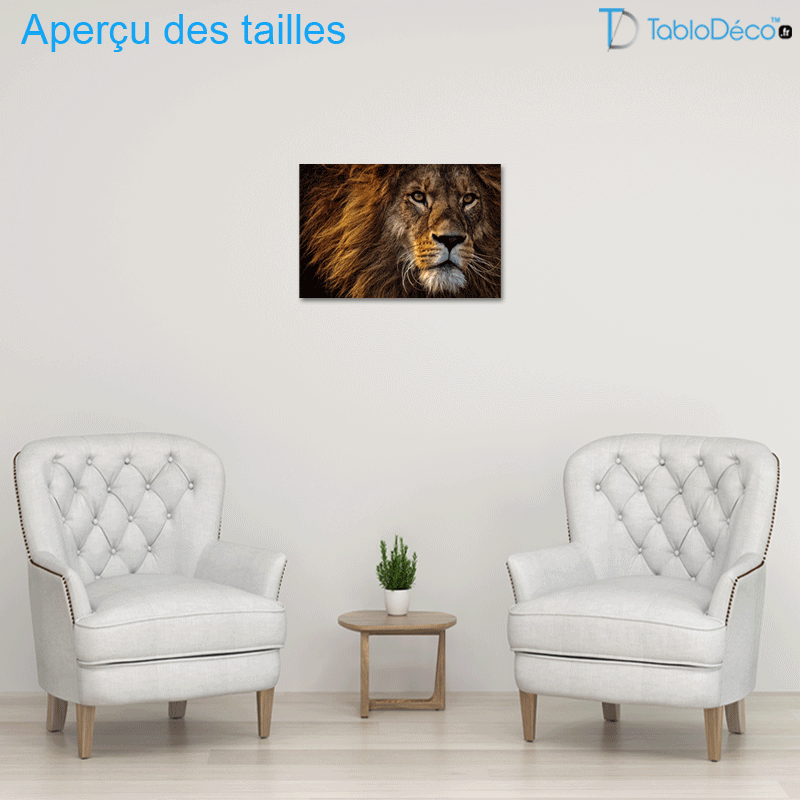 Tableau Photo d'un Lion