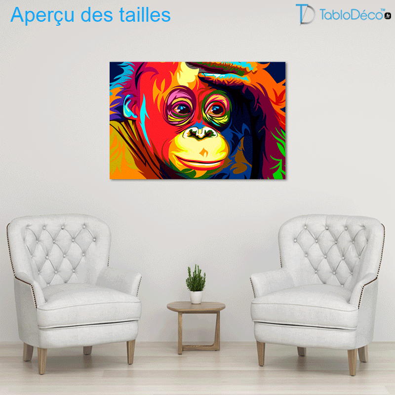 Aperçu des tailles du Tableau Singe Multicolore
