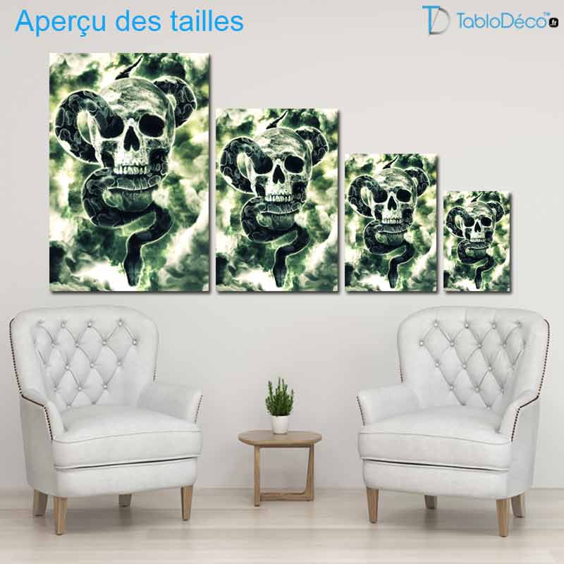 Aperçu des tailles du Tableau Tête de Mort Serpent