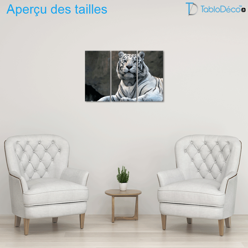 Aperçu des tailles du Tableau Tigre Blanc Yeux Bleus 