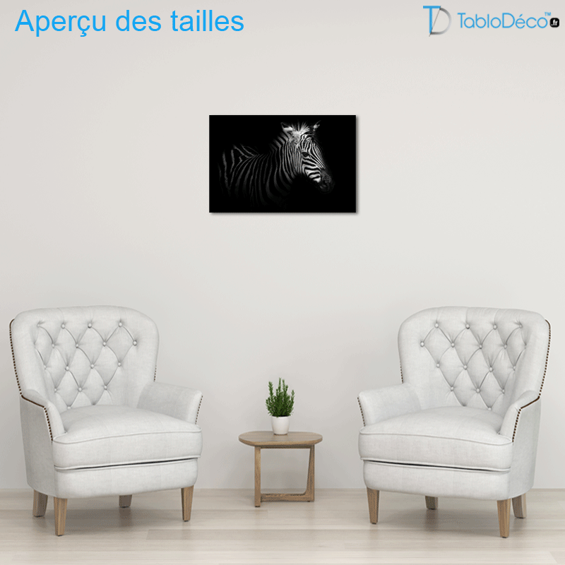 Tableau Zèbre en Noir et Blanc