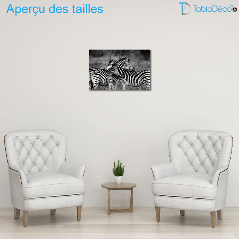 Tableau Zèbres de Dos