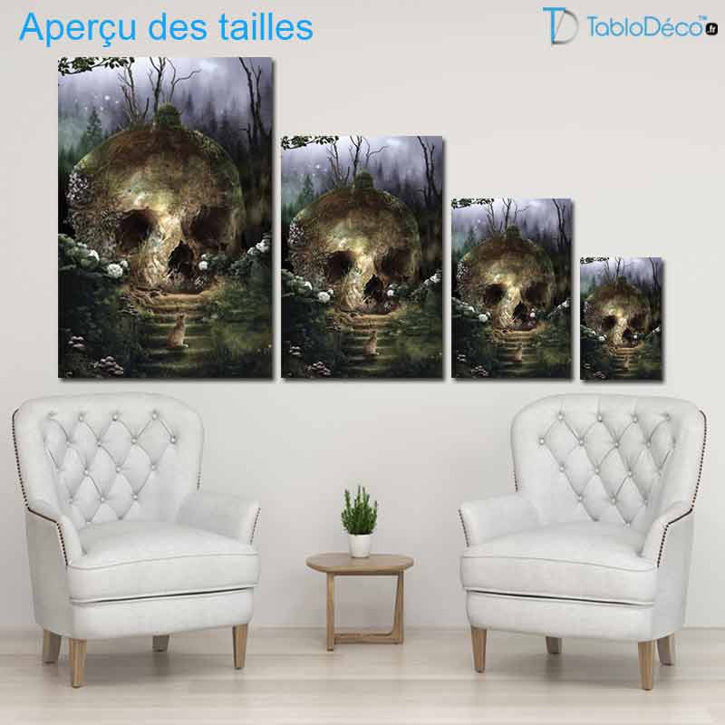 Aperçu des tailles de la Toile Tête de Mort