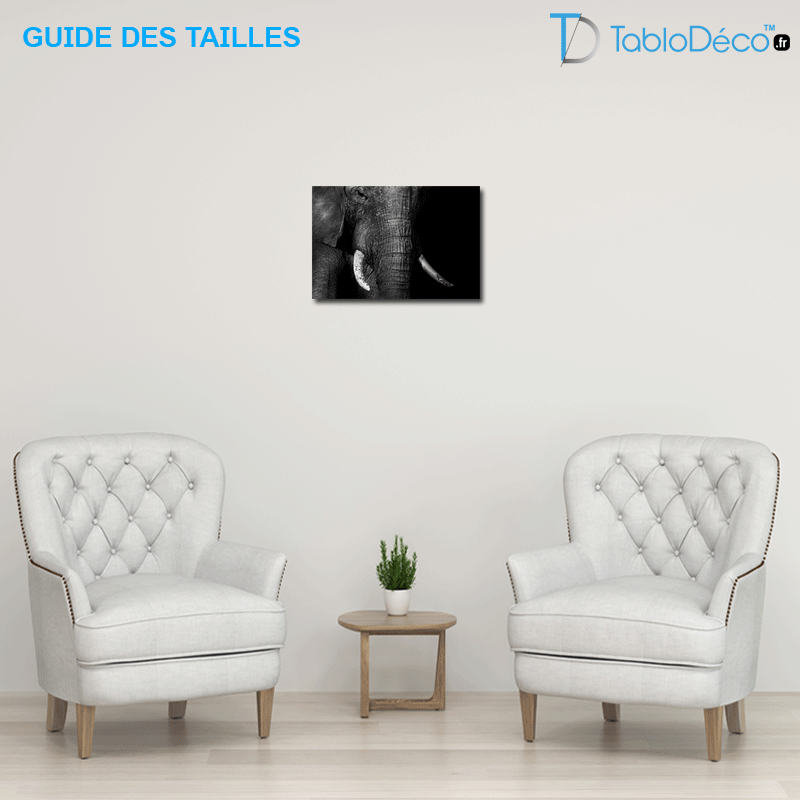 Guide des tailles du Photo Éléphant sur toile Noir et Blanc