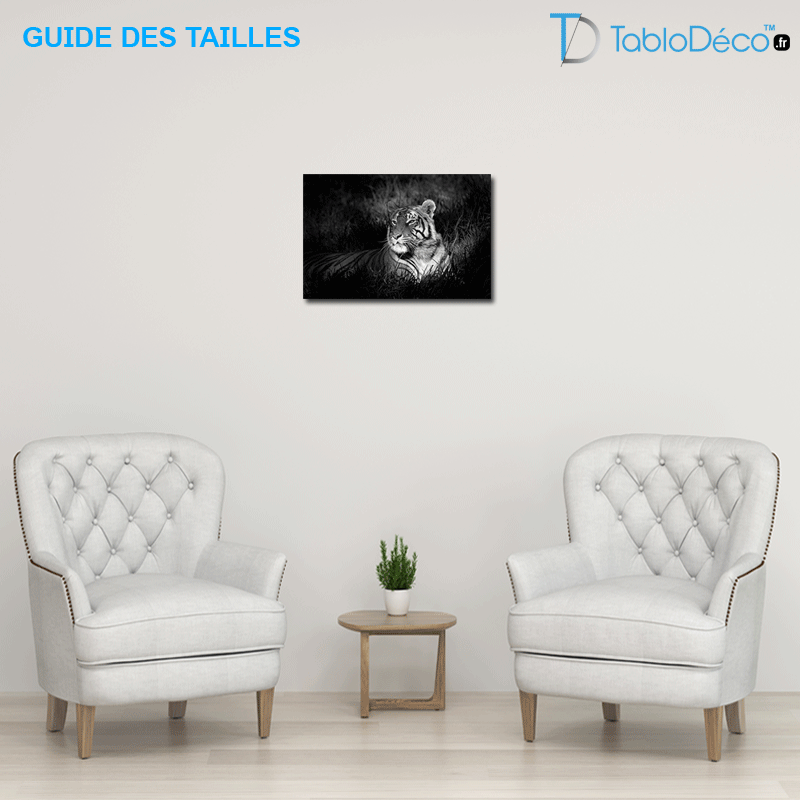 Guide des tailles du  Tableau Photo Tigre Noir et Blanc