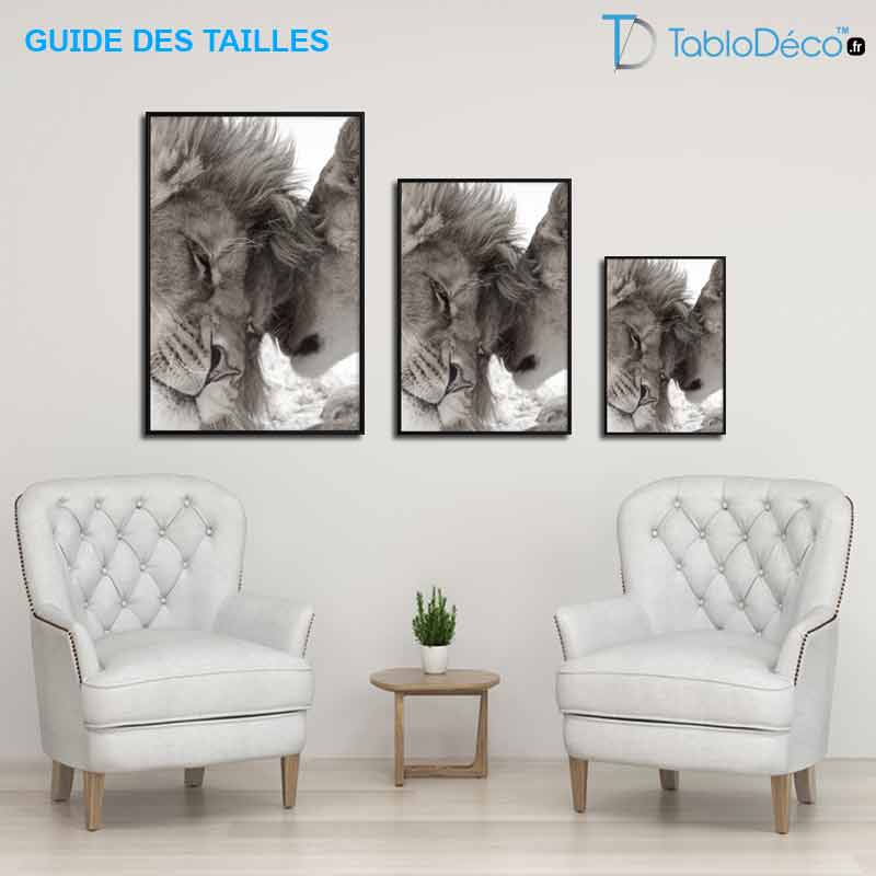Guide des tailles du Poster Lion et Lionne Noir et Blanc
