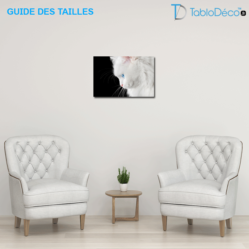Guide des tailles du Tableau Chat Blanc aux Yeux Bleus