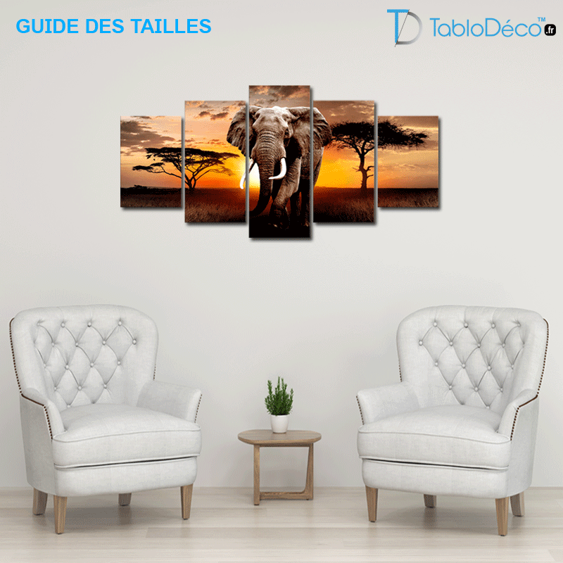 Guide des tailles du Tableau déco Éléphant