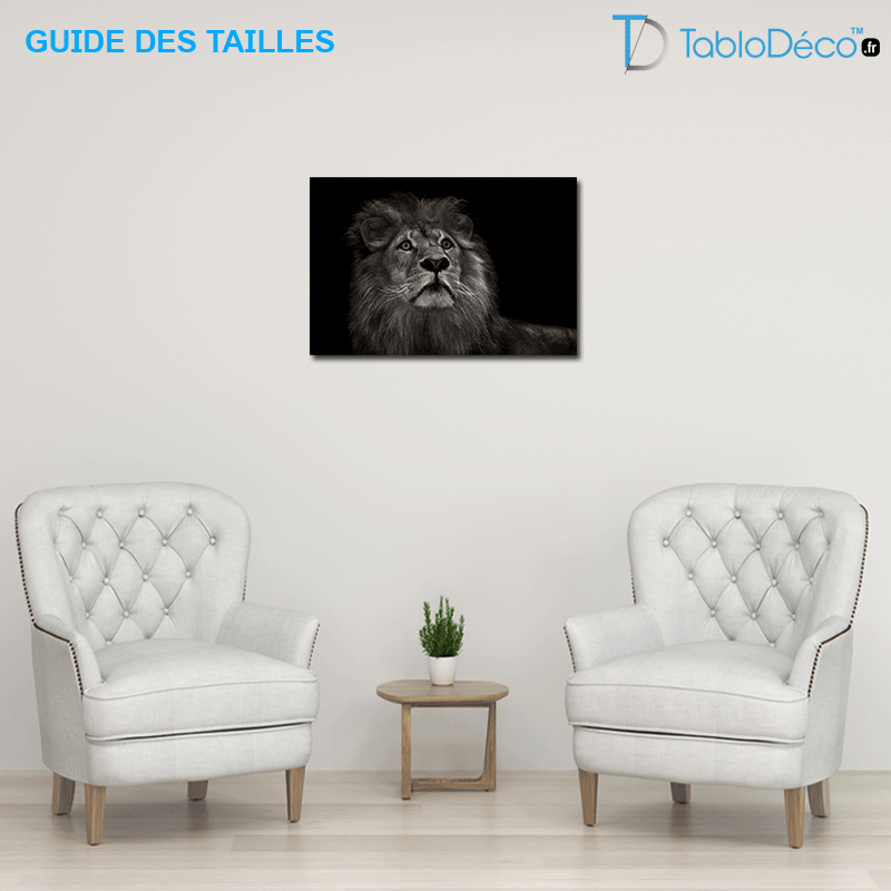 Guide des tailles du Tableau Lion Noir et Blanc