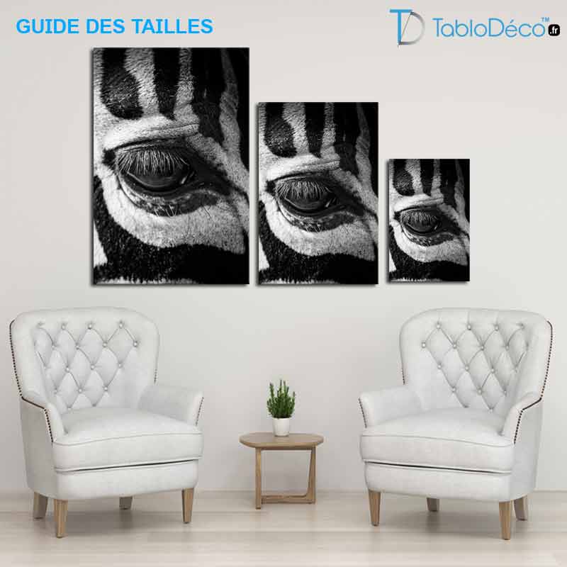 Guide des tailles du Tableau Œil de Zèbre