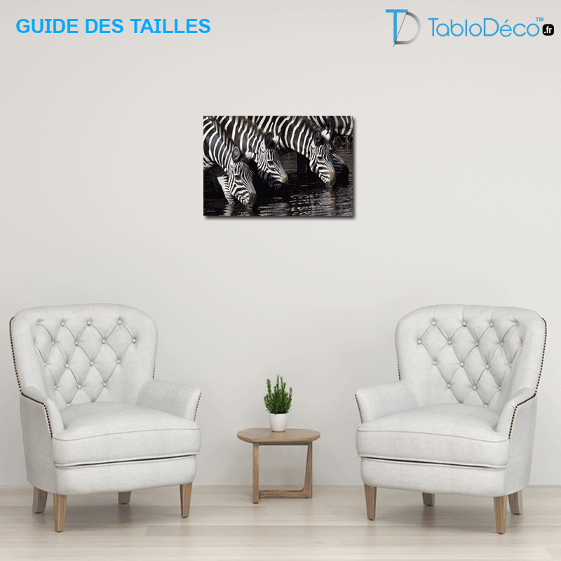 Guide des tailles du Tableau Photo Zèbre