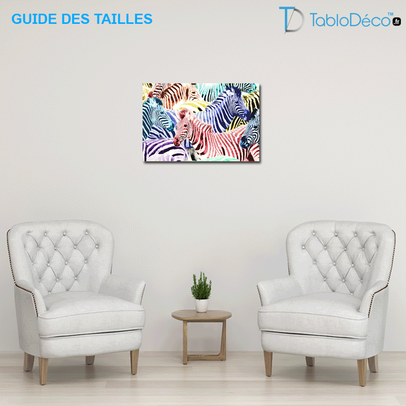 Guide des tailles du Tableau Zèbre Multicolore