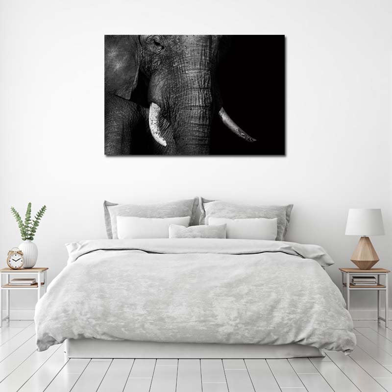 Photo Éléphant sur toile Noir et Blanc