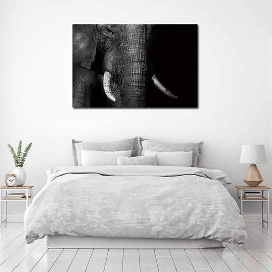 Photo Éléphant sur toile Noir et Blanc