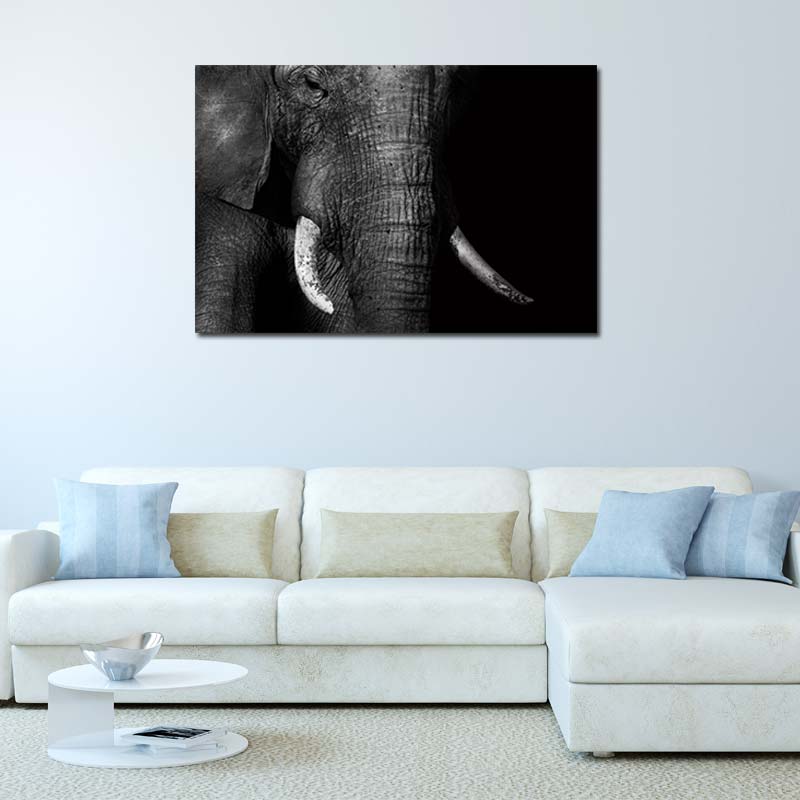 Photo murale avec un Éléphant sur toile Noir et Blanc