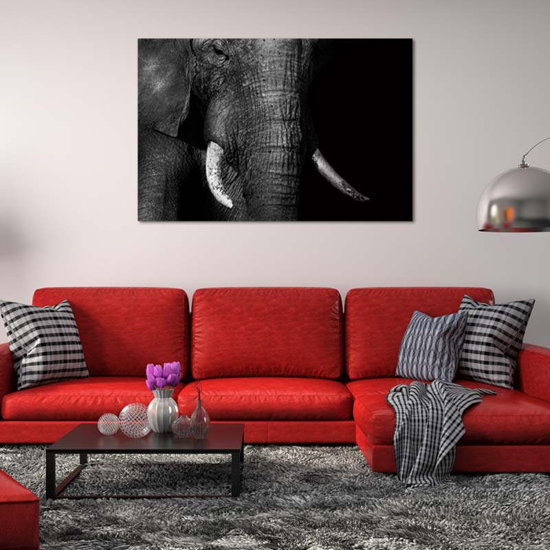  Photo Éléphant sur toile Noir et Blanc - TabloDéco.fr