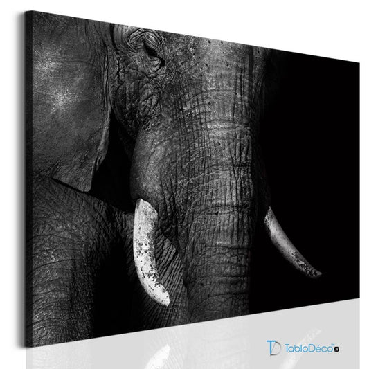 Acheter une Photo Éléphant sur toile Noir et Blanc - TabloDéco.fr
