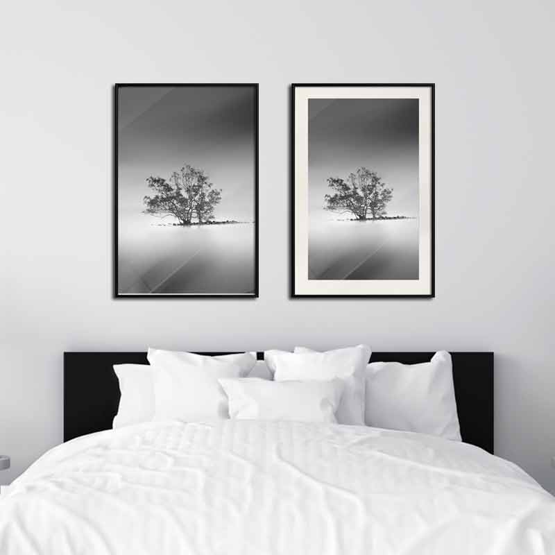 2 types de Posters Arbre Noir et Blanc