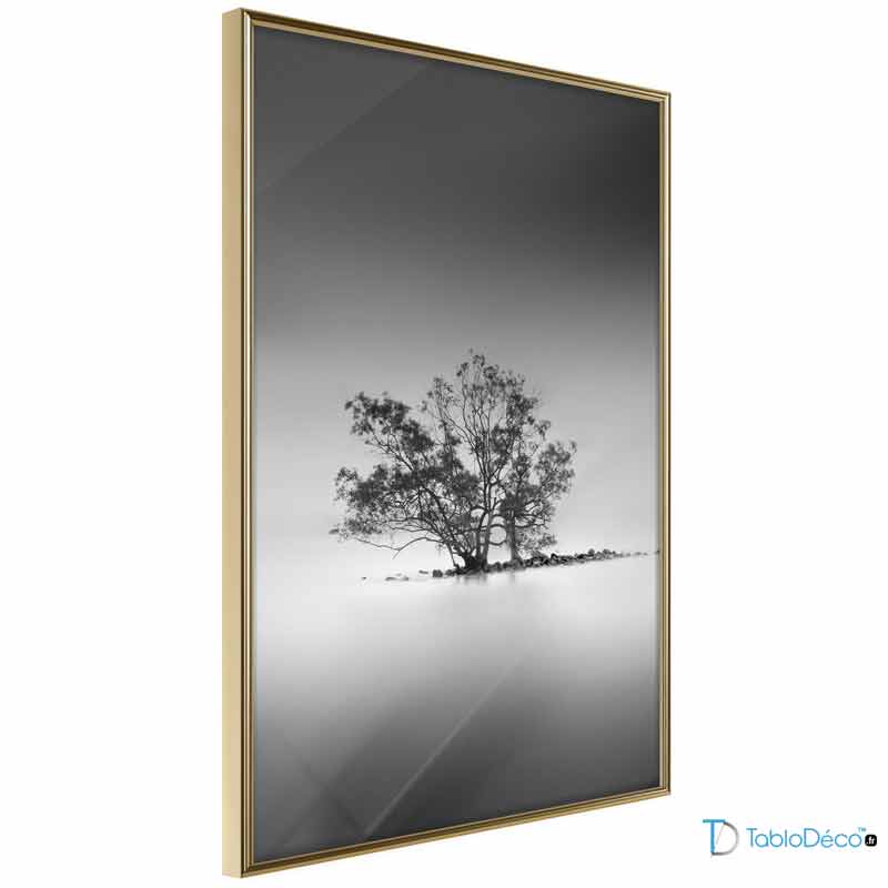 Poster décoratif Arbre Noir et Blanc cadre doré