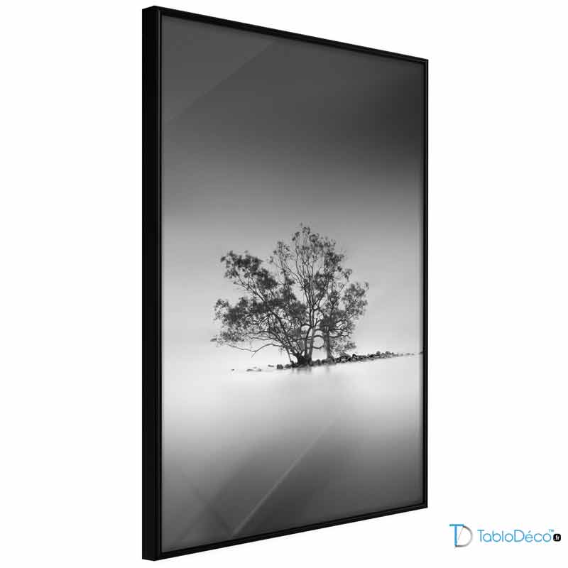 Acheter un Poster Arbre Noir et Blanc encadré