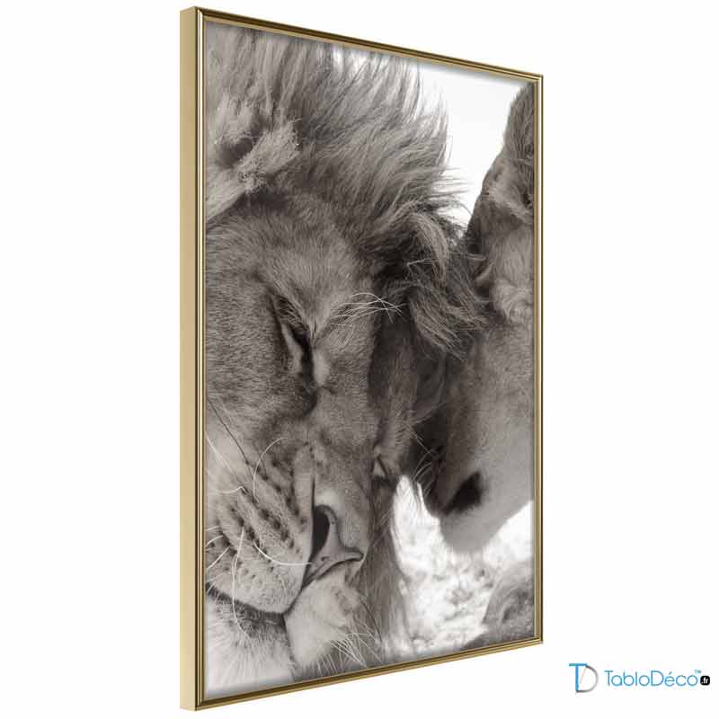 Affiche Murale Lion et Lionne Noir et Blanc