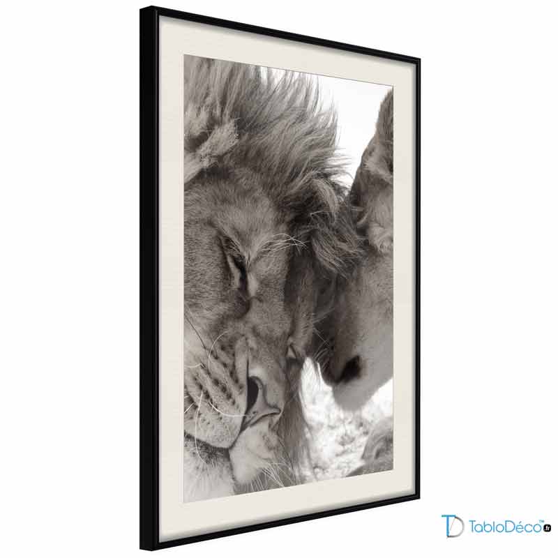 Poster Lion et Lionne Noir et Blanc cadre noir passe-partout