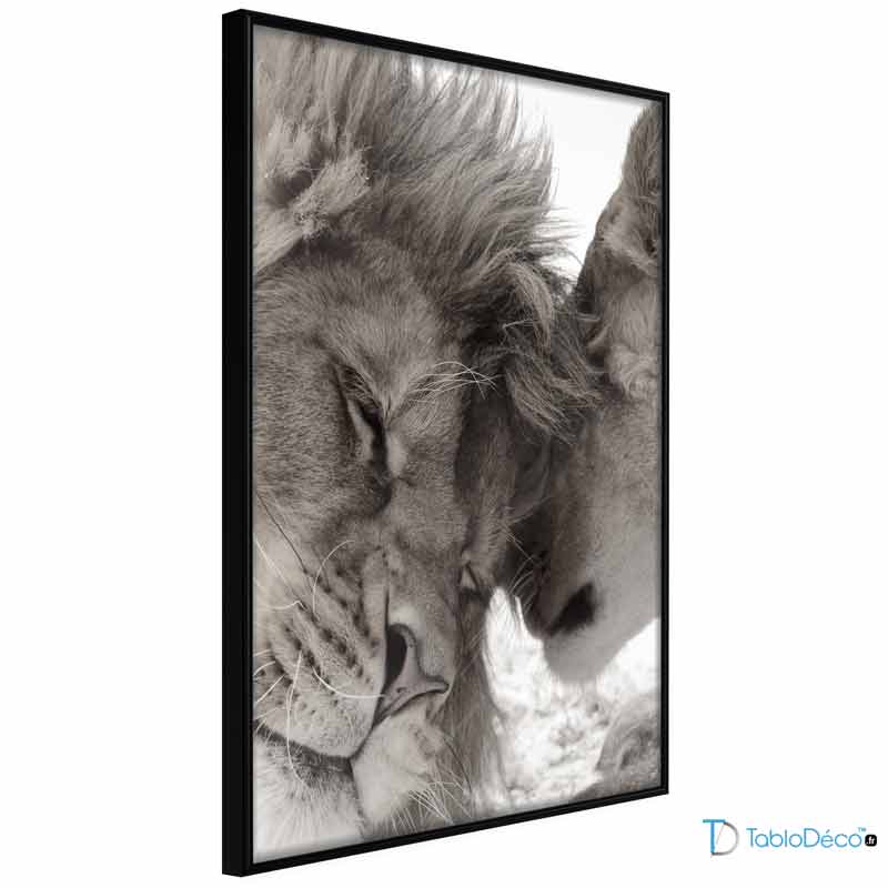 Poster Lion et Lionne Noir et Blanc