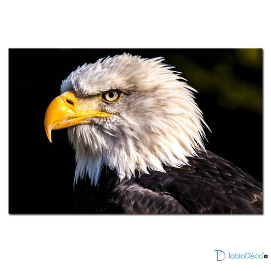 Tableau sur toile d'Aigle - TabloDéco.fr