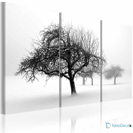 Tableau sur toile imprimée d'un Arbre Noir et Blanc