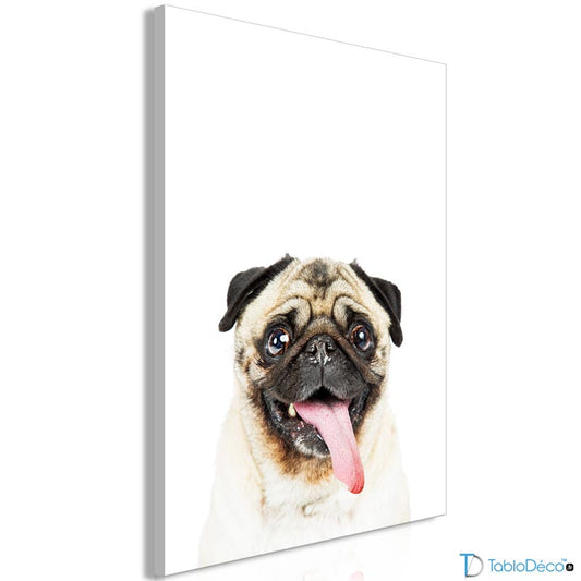 Acheter un Tableau Décoratif avec un Carlin