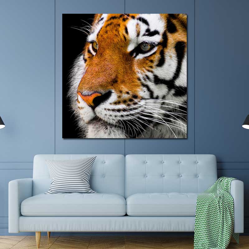 Tableau avec Tigre en 1 panneau