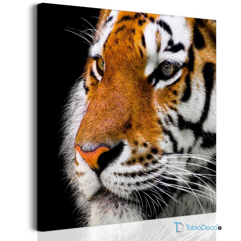 Acheter un Tableau sur toile avec un Tigre - TabloDéco.fr