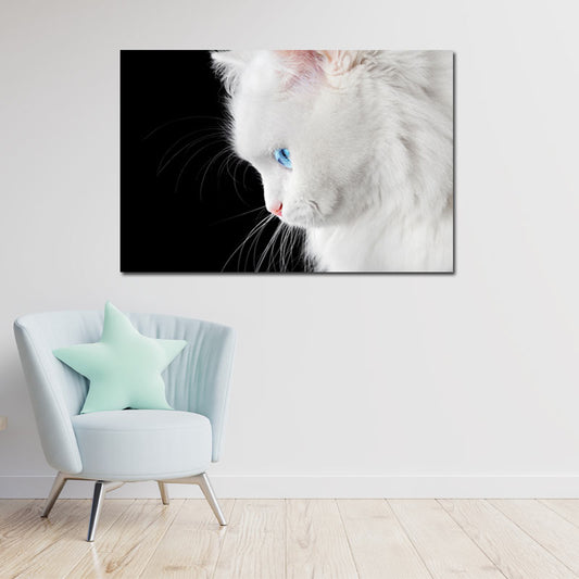Tableau décoration Chat Blanc aux Yeux Bleus