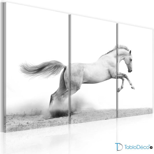 Acheter un Tableau avec un Cheval Arabe Gris - TabloDéco.fr