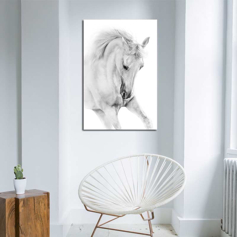 Tableau Cheval Blanc