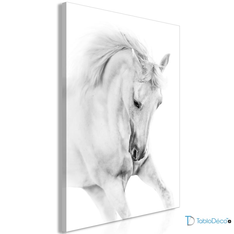 Tableau Déco Cheval Blanc