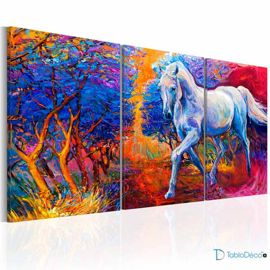 Tableau Cheval Couleur