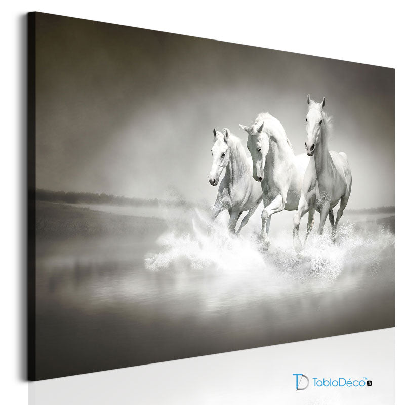 Acheter un Tableau avec des Chevaux Camarguais - TabloDéco.fr