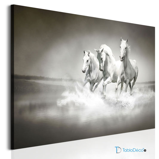 Acheter un Tableau avec des Chevaux Camarguais - TabloDéco.fr