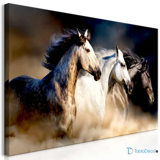 Tableau Chevaux Sauvages
