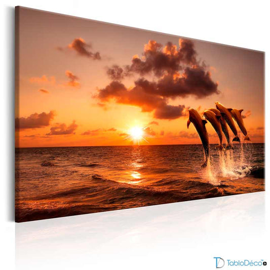 Acheter un Tableau Déco avec des Dauphins - TabloDéco.fr