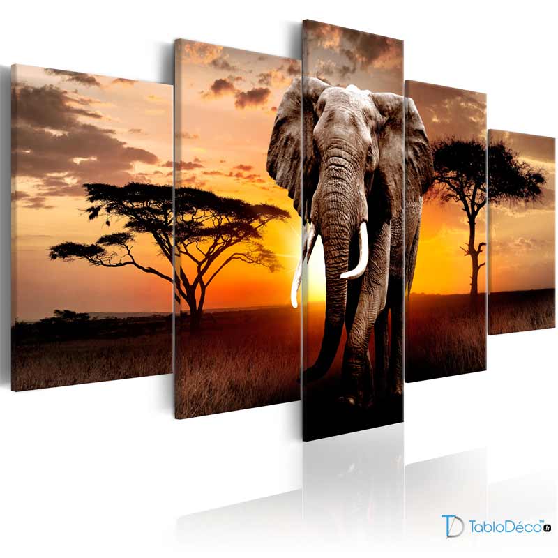 Acheter un Tableau déco avec un Éléphant - TabloDéco.fr