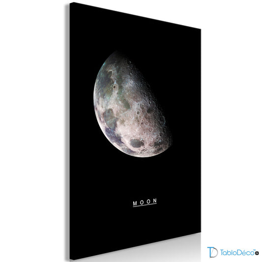 Acheter un Tableau de la Lune - TabloDéco.fr