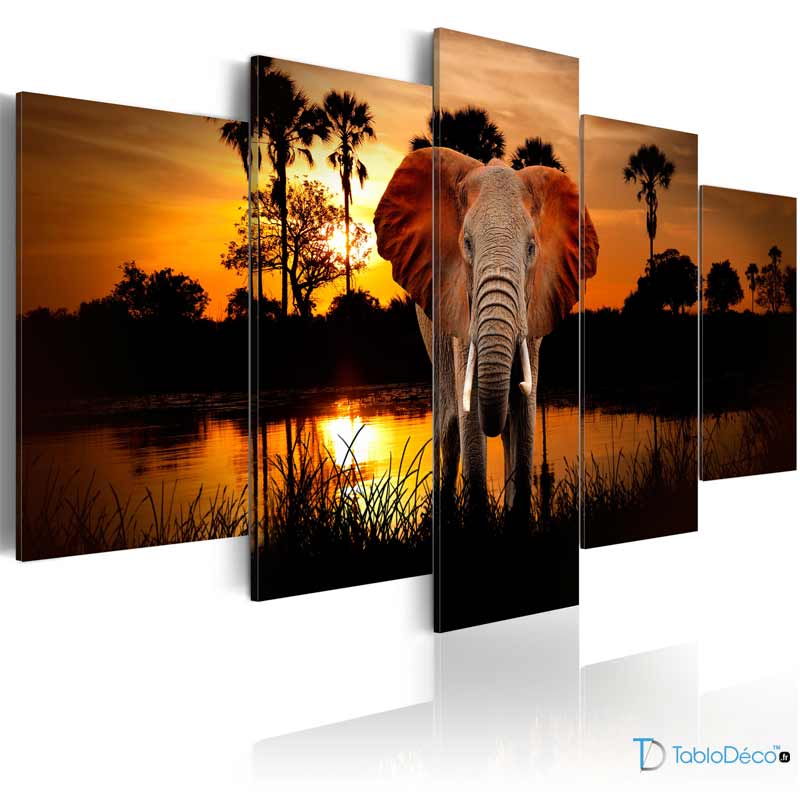 Tableau Éléphant d'Afrique