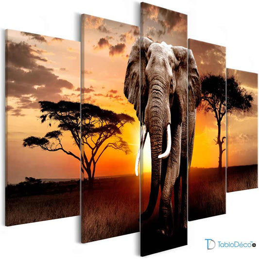 Acheter un Tableau Éléphant Grand Format sur châssis
