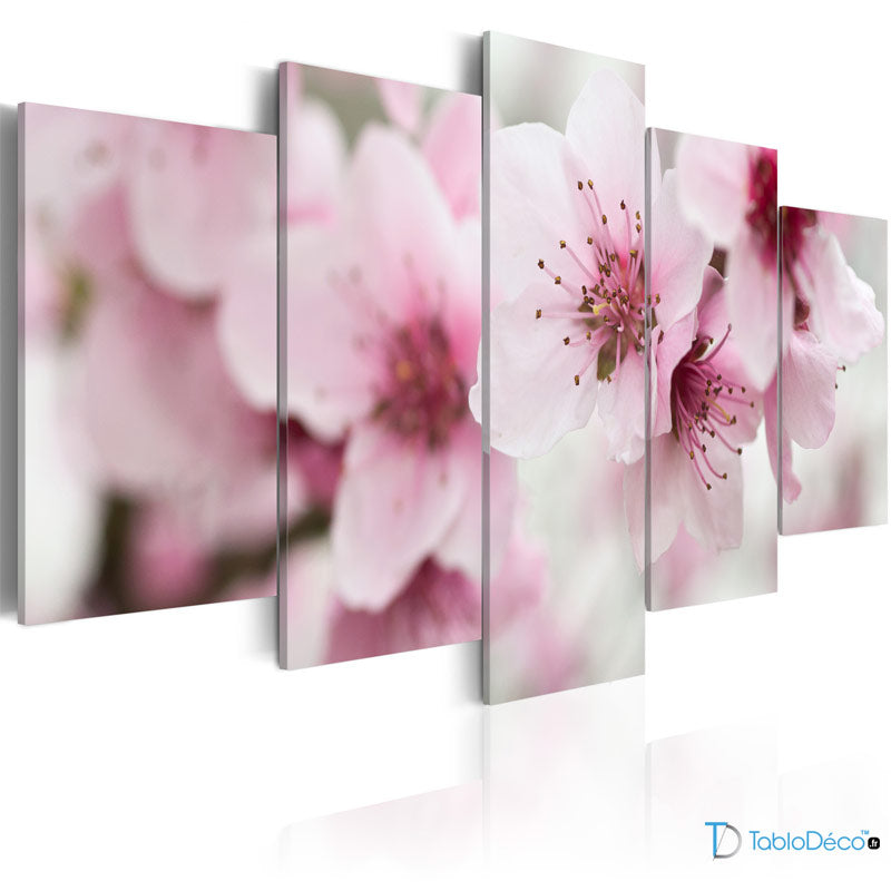 Tableau Fleur de Cerisier